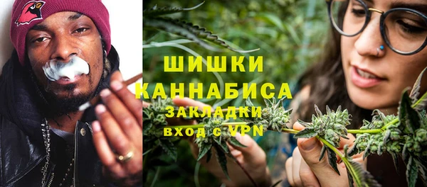 бошки Белокуриха