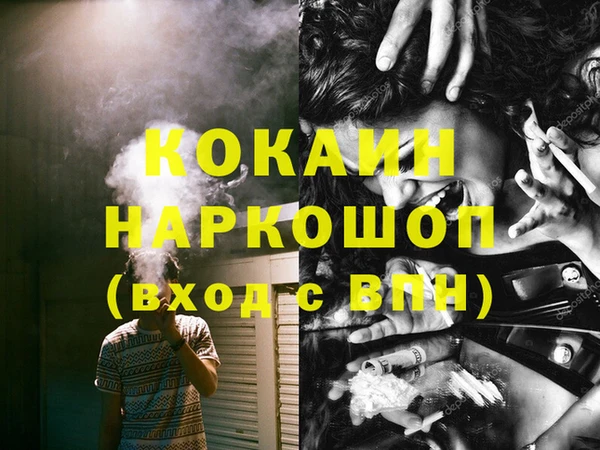 бошки Белокуриха