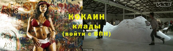 бошки Белокуриха