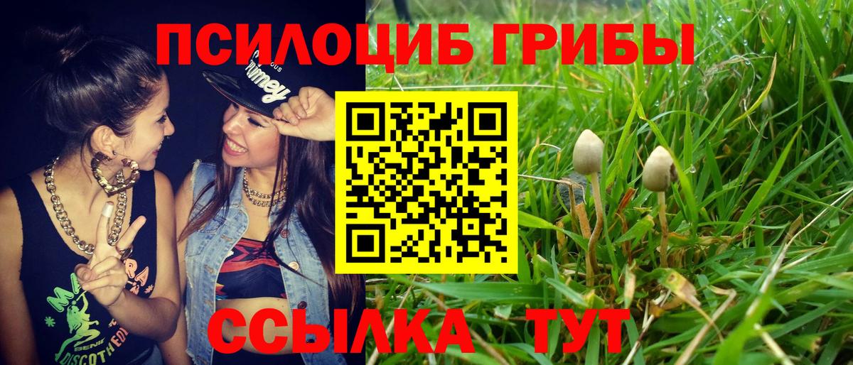 Псилоцибиновые грибы Psilocybine cubensis  Вход с VPN  Маркс 